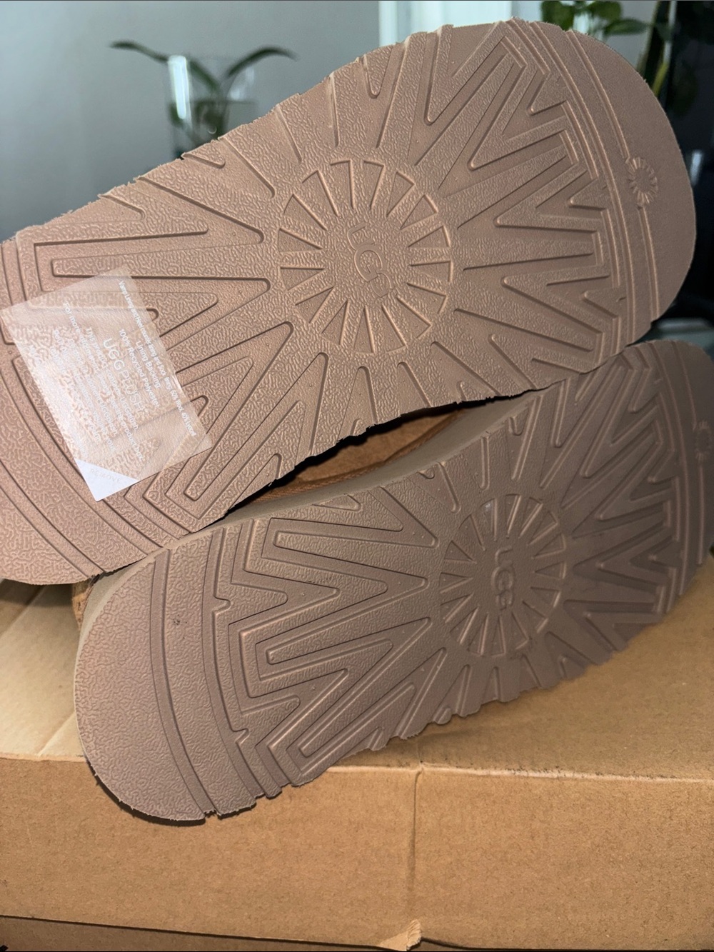 Ugg - Picture 14 of 16